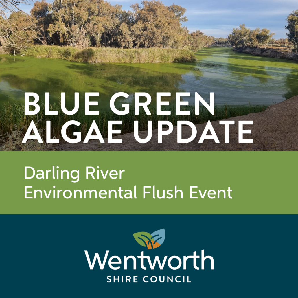 Darling River Environmental Flush Event Mirage News