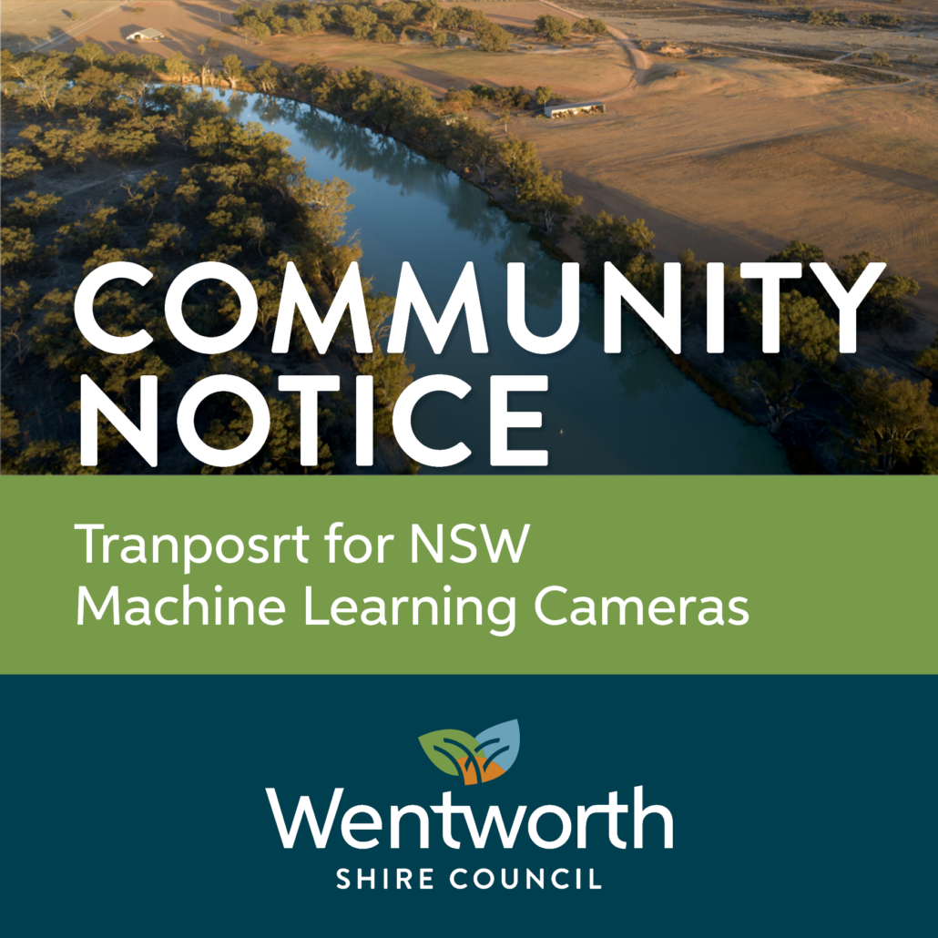 Machine Learning Cameras | Mirage News