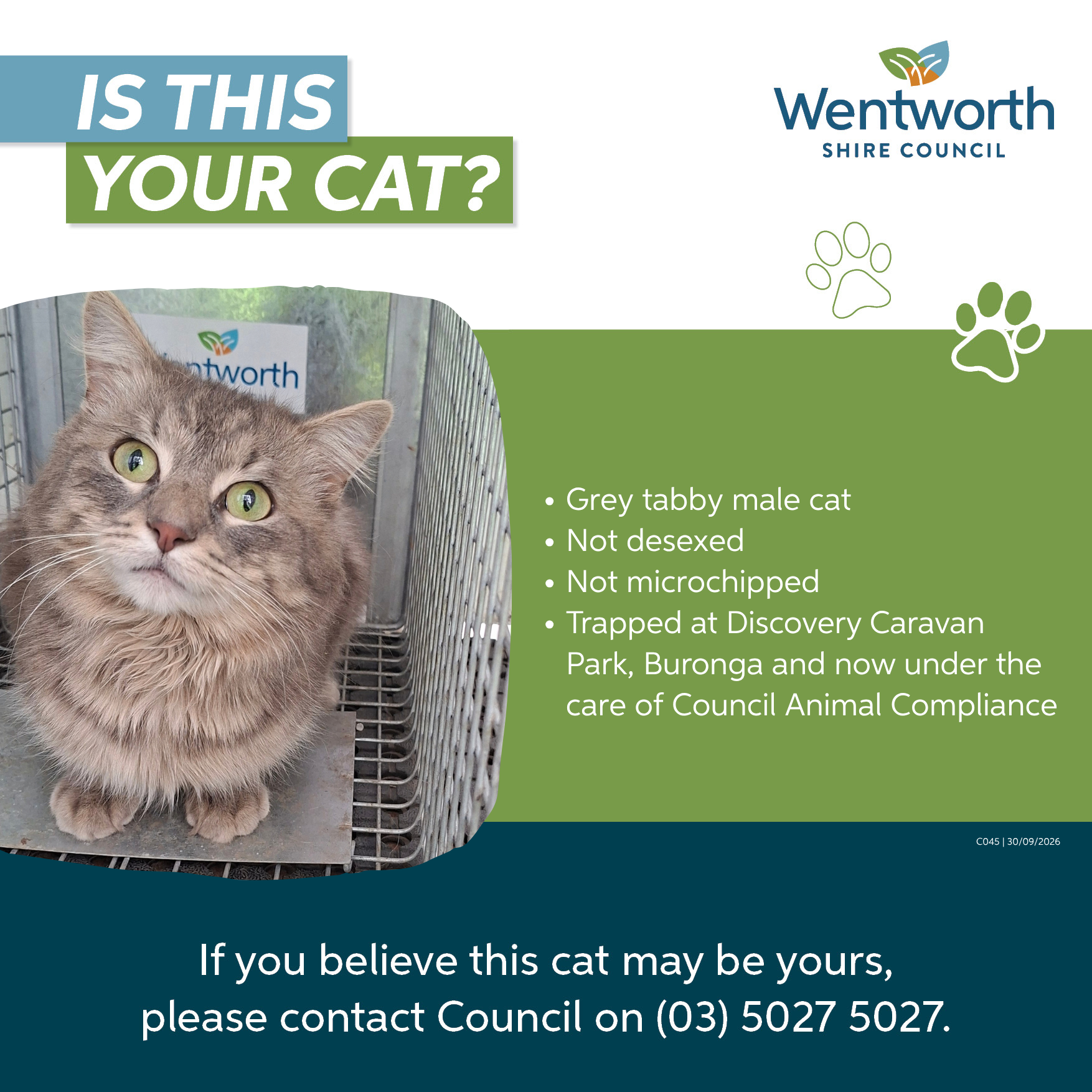 WSC FB - Is this your cat